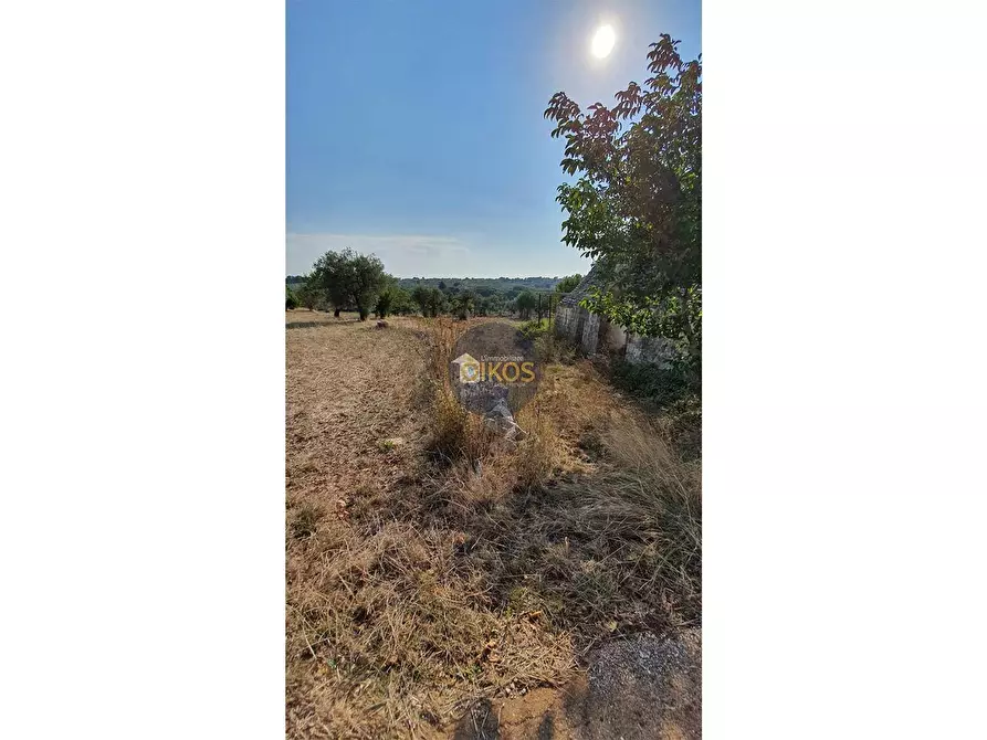 Immagine 11 di Terreno agricolo in vendita  in Contrada Cervarulo a Monopoli