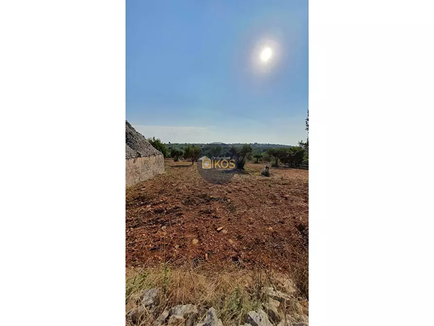 Immagine 9 di Terreno agricolo in vendita  in Contrada Cervarulo a Monopoli