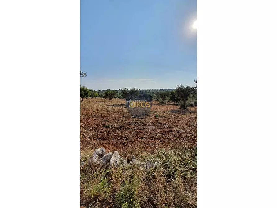 Immagine 5 di Terreno agricolo in vendita  in Contrada Cervarulo a Monopoli
