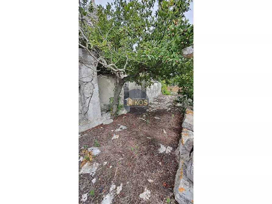 Immagine 18 di Rustico / casale in vendita  in via Colucci a Alberobello