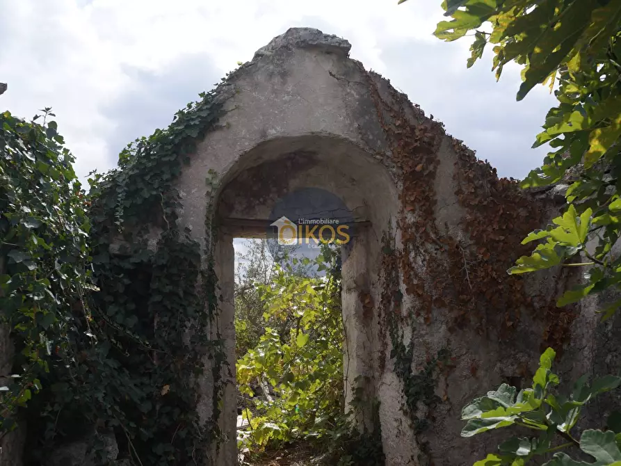 Immagine 35 di Rustico / casale in vendita  in via Colucci a Alberobello