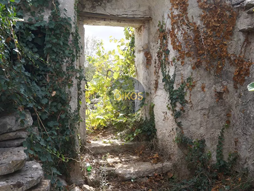 Immagine 36 di Rustico / casale in vendita  in via Colucci a Alberobello