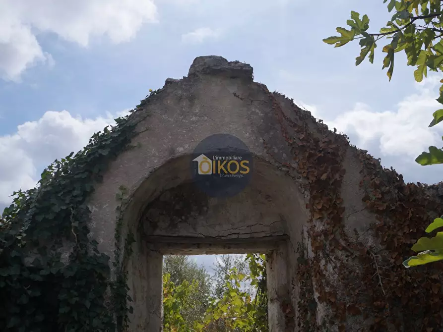 Immagine 37 di Rustico / casale in vendita  in via Colucci a Alberobello