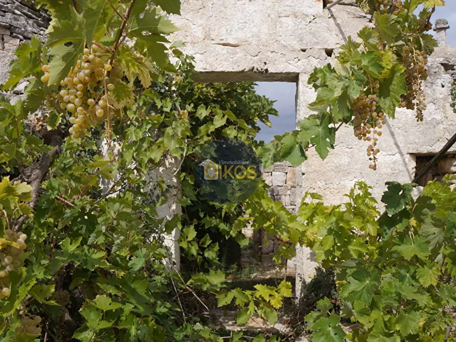 Immagine 39 di Rustico / casale in vendita  in via Colucci a Alberobello