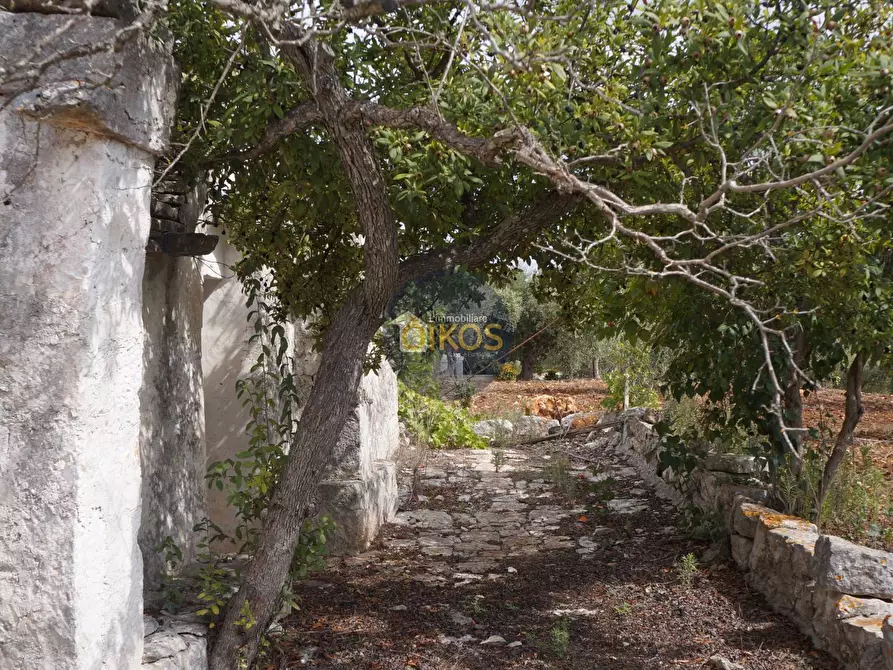 Immagine 47 di Rustico / casale in vendita  in via Colucci a Alberobello