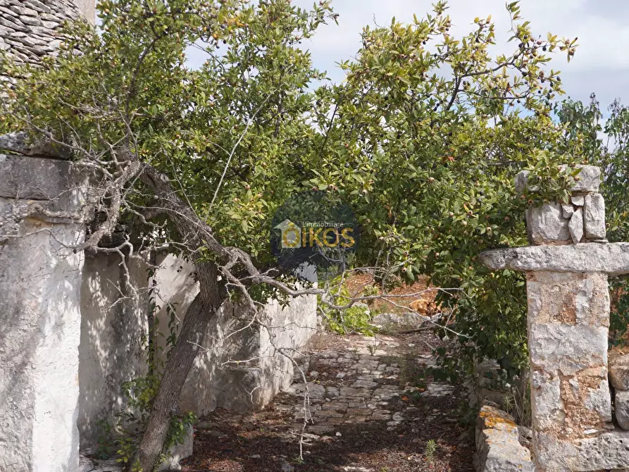 Immagine 49 di Rustico / casale in vendita  in via Colucci a Alberobello
