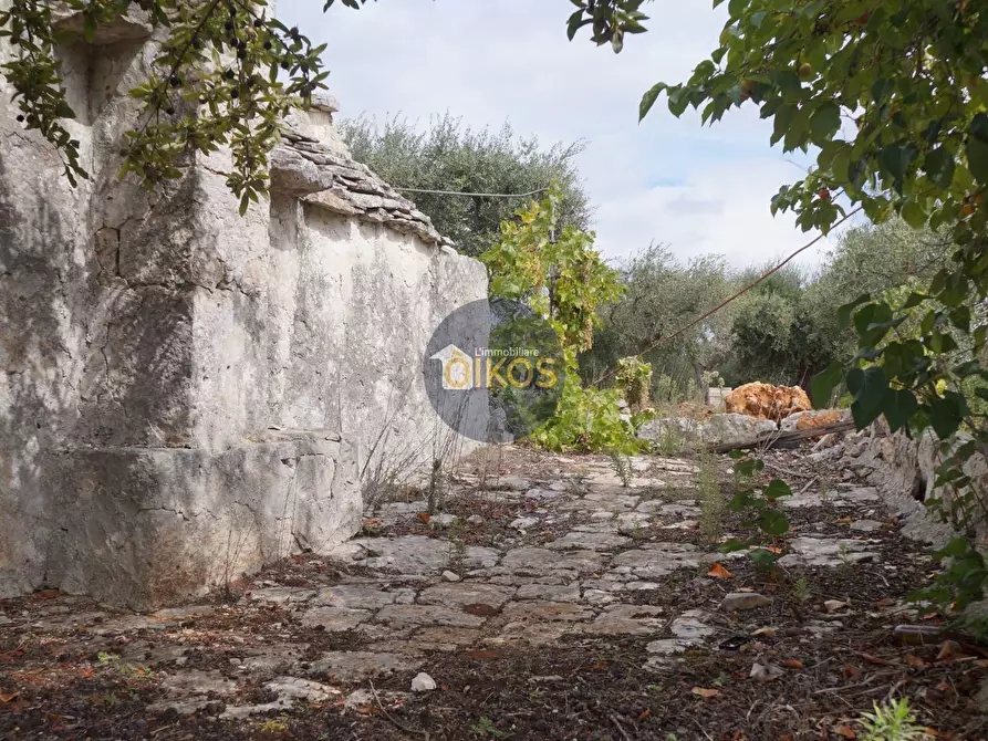Immagine 53 di Rustico / casale in vendita  in via Colucci a Alberobello