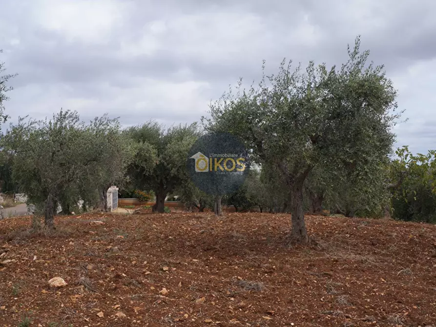 Immagine 60 di Rustico / casale in vendita  in via Colucci a Alberobello