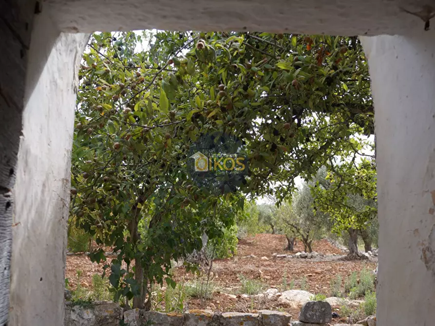 Immagine 69 di Rustico / casale in vendita  in via Colucci a Alberobello
