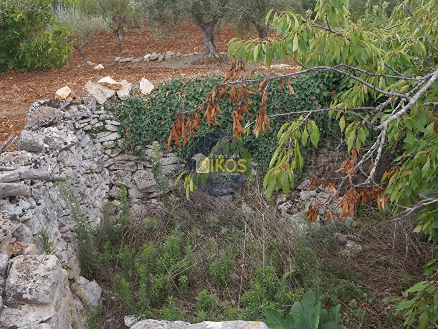 Immagine 77 di Rustico / casale in vendita  in via Colucci a Alberobello