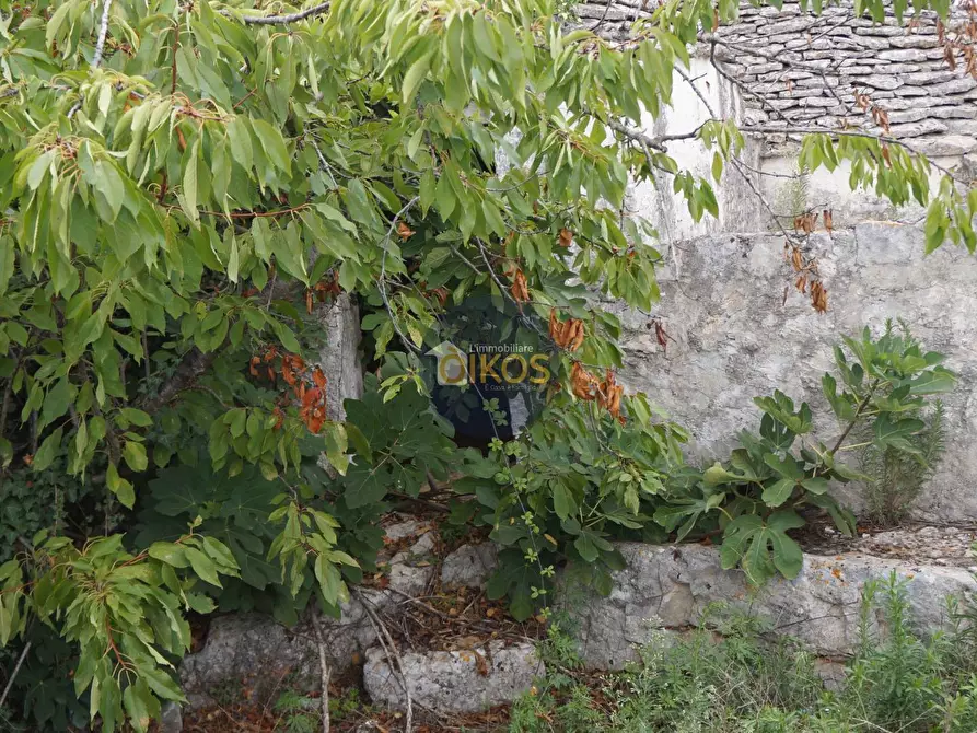 Immagine 79 di Rustico / casale in vendita  in via Colucci a Alberobello