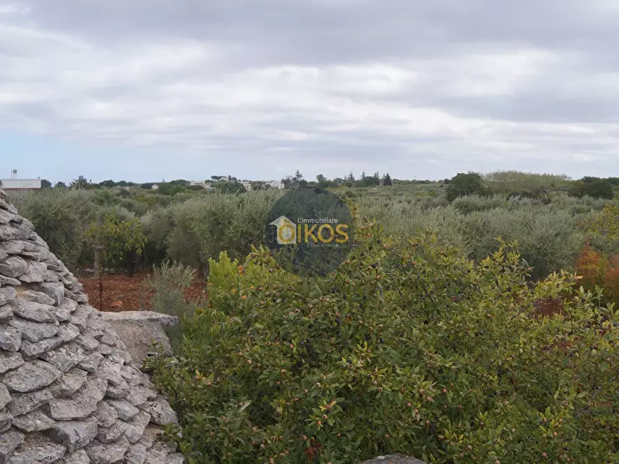 Immagine 81 di Rustico / casale in vendita  in via Colucci a Alberobello