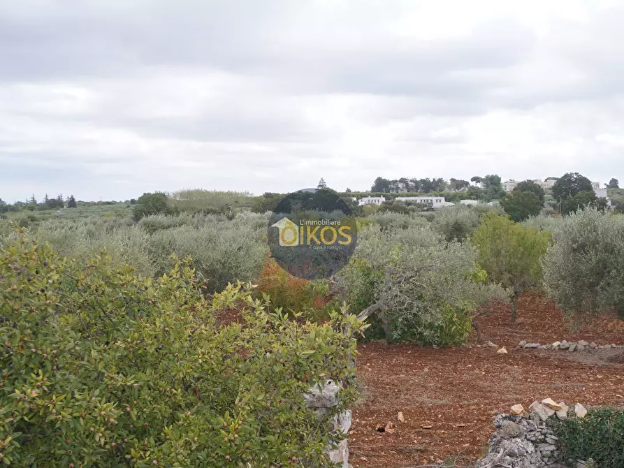 Immagine 82 di Rustico / casale in vendita  in via Colucci a Alberobello