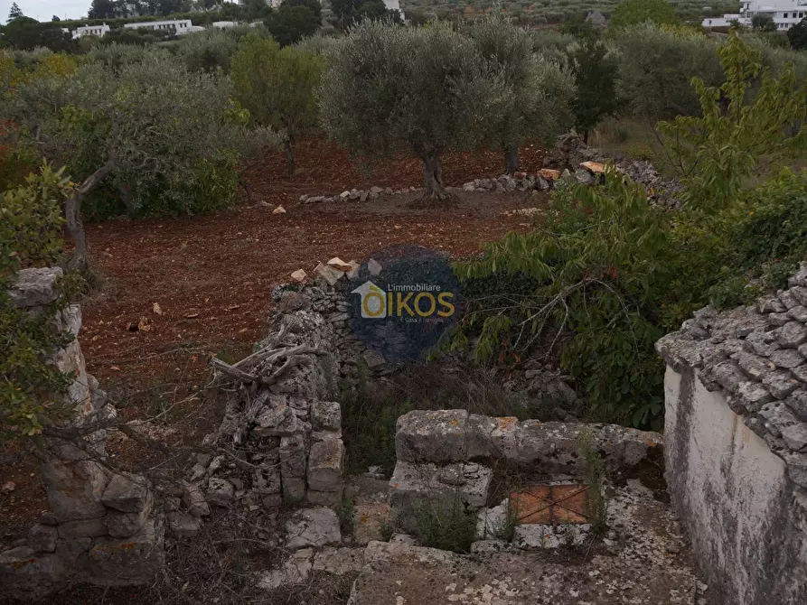 Immagine 83 di Rustico / casale in vendita  in via Colucci a Alberobello