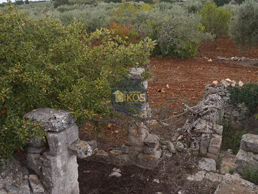 Immagine 84 di Rustico / casale in vendita  in via Colucci a Alberobello