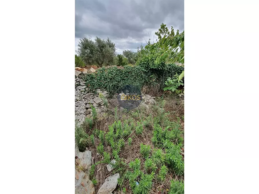 Immagine 94 di Rustico / casale in vendita  in via Colucci a Alberobello