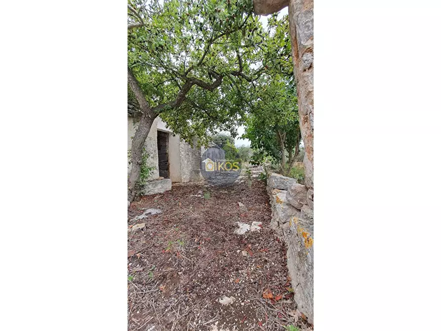 Immagine 97 di Rustico / casale in vendita  in via Colucci a Alberobello