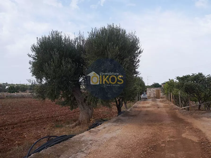 Immagine 9 di Terreno agricolo in vendita  in Strada Comunale Fusella a Polignano A Mare