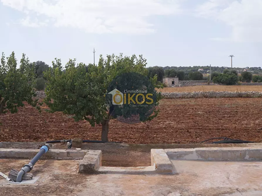 Immagine 12 di Terreno agricolo in vendita  in Strada Comunale Fusella a Polignano A Mare