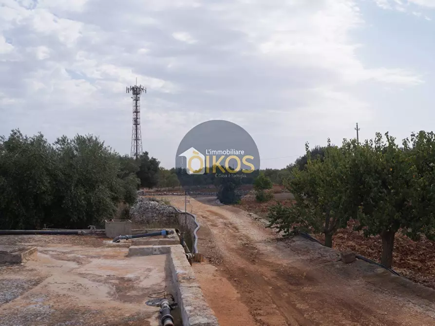 Immagine 17 di Terreno agricolo in vendita  in Strada Comunale Fusella a Polignano A Mare