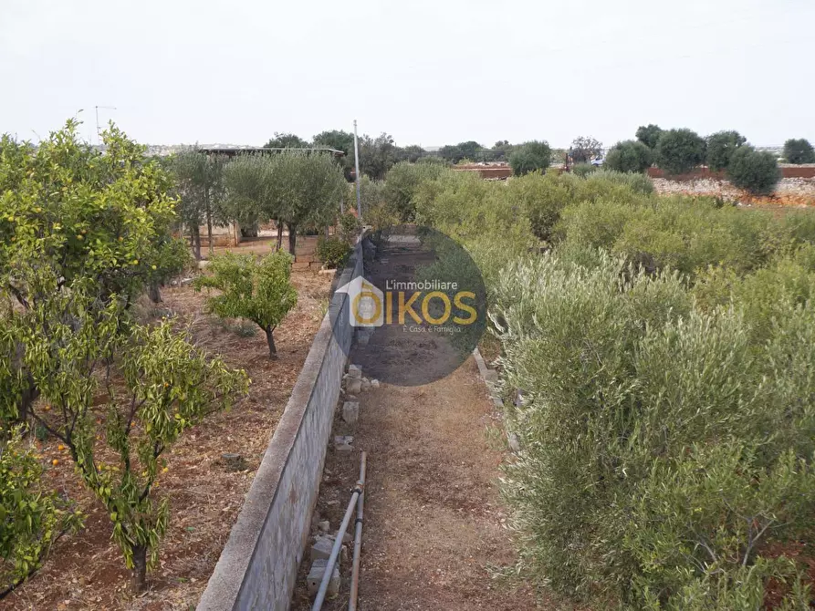 Immagine 19 di Terreno agricolo in vendita  in Strada Comunale Fusella a Polignano A Mare