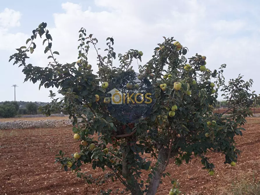 Immagine 20 di Terreno agricolo in vendita  in Strada Comunale Fusella a Polignano A Mare