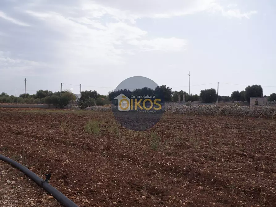 Immagine 26 di Terreno agricolo in vendita  in Strada Comunale Fusella a Polignano A Mare
