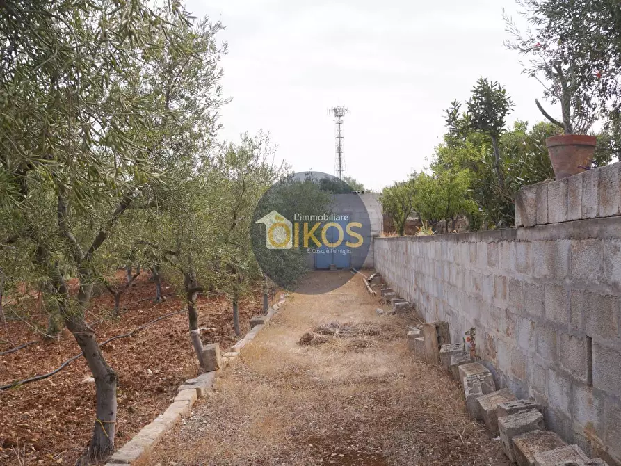 Immagine 31 di Terreno agricolo in vendita  in Strada Comunale Fusella a Polignano A Mare