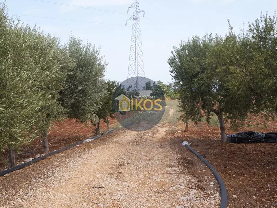 Immagine 32 di Terreno agricolo in vendita  in Strada Comunale Fusella a Polignano A Mare