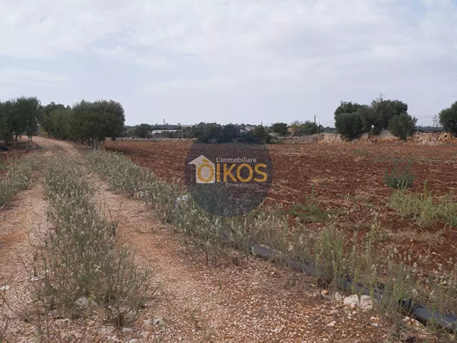Immagine 33 di Terreno agricolo in vendita  in Strada Comunale Fusella a Polignano A Mare