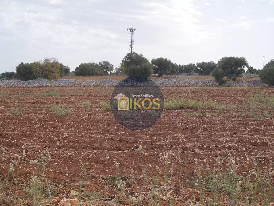 Immagine 34 di Terreno agricolo in vendita  in Strada Comunale Fusella a Polignano A Mare