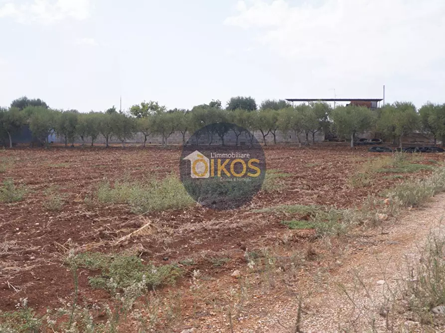 Immagine 35 di Terreno agricolo in vendita  in Strada Comunale Fusella a Polignano A Mare