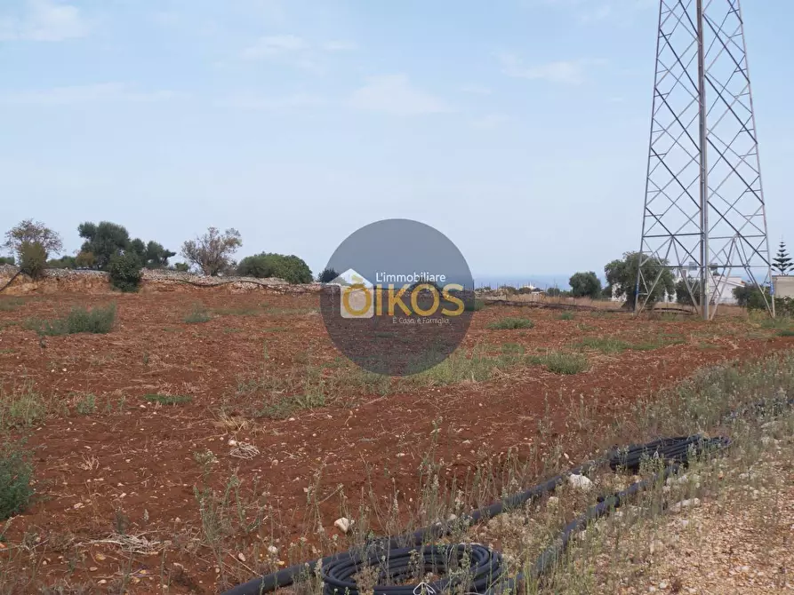 Immagine 36 di Terreno agricolo in vendita  in Strada Comunale Fusella a Polignano A Mare