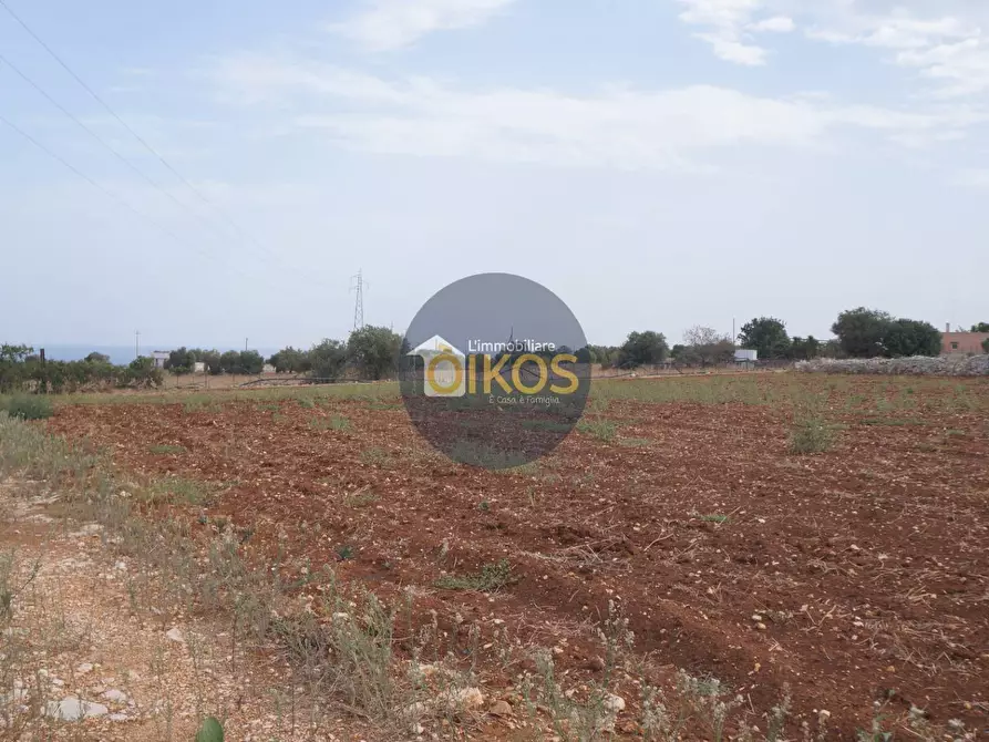 Immagine 37 di Terreno agricolo in vendita  in Strada Comunale Fusella a Polignano A Mare