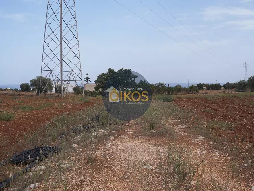 Immagine 38 di Terreno agricolo in vendita  in Strada Comunale Fusella a Polignano A Mare