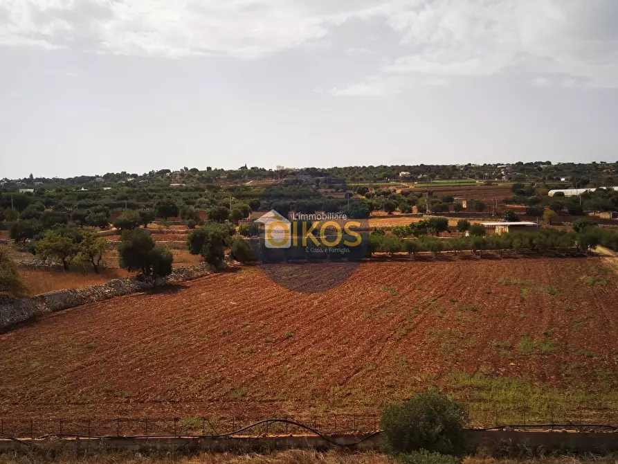 Immagine 41 di Terreno agricolo in vendita  in Strada Comunale Fusella a Polignano A Mare