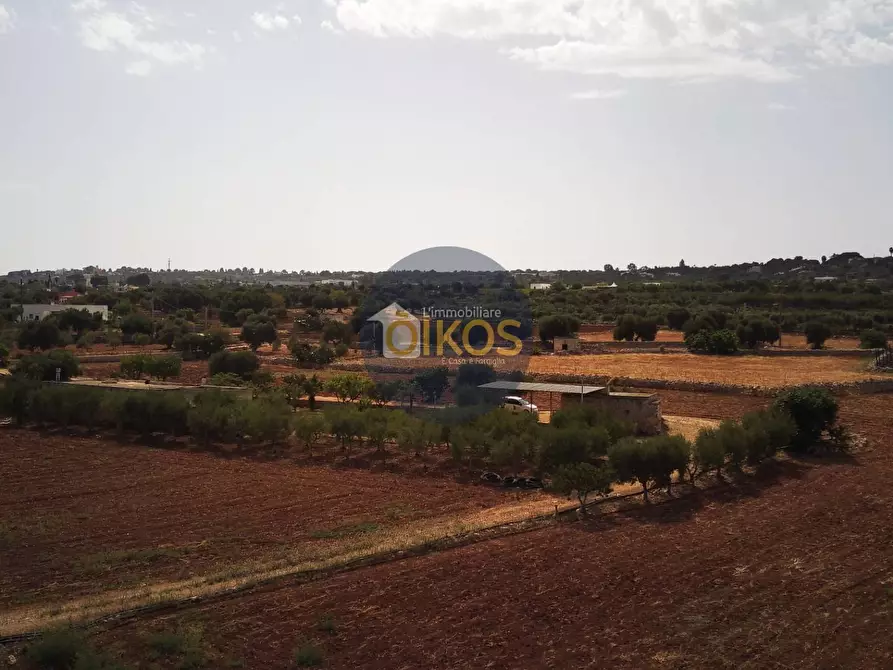 Immagine 42 di Terreno agricolo in vendita  in Strada Comunale Fusella a Polignano A Mare