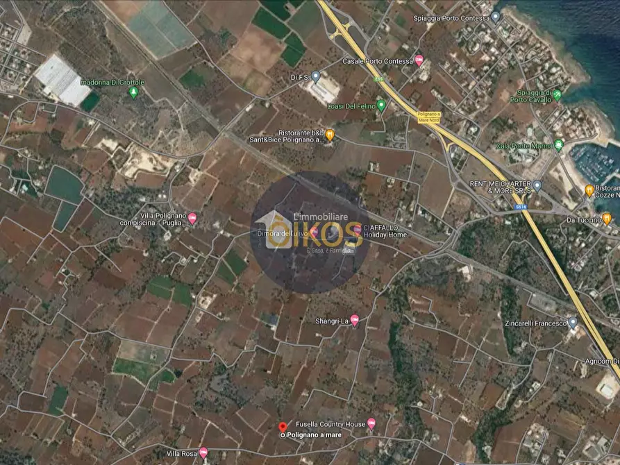 Immagine 49 di Terreno agricolo in vendita  in Strada Comunale Fusella a Polignano A Mare