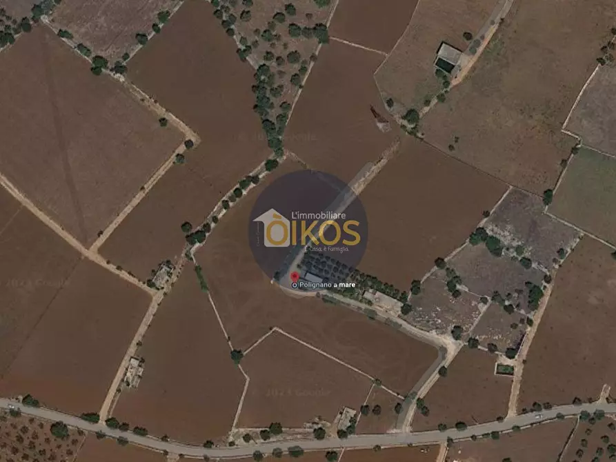 Immagine 50 di Terreno agricolo in vendita  in Strada Comunale Fusella a Polignano A Mare