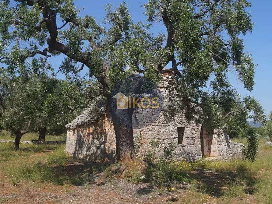 Immagine 3 di Rustico / casale in vendita  in contrada salamina a Fasano