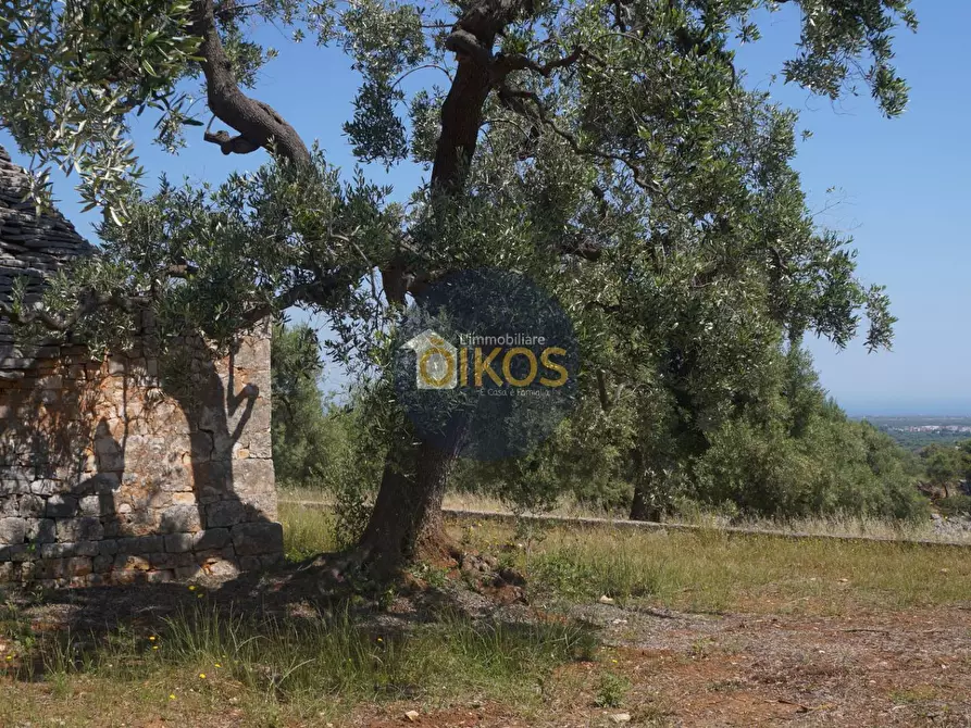 Immagine 5 di Rustico / casale in vendita  in contrada salamina a Fasano