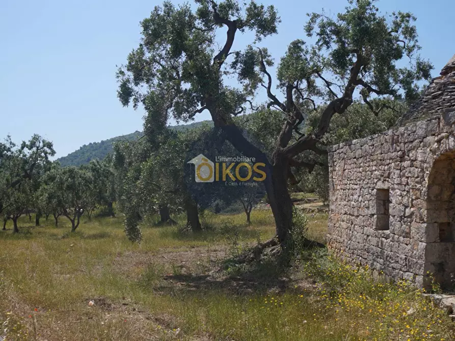 Immagine 9 di Rustico / casale in vendita  in contrada salamina a Fasano
