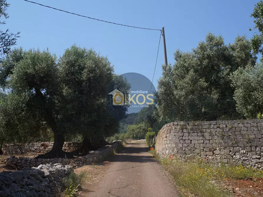 Immagine 24 di Rustico / casale in vendita  in contrada salamina a Fasano