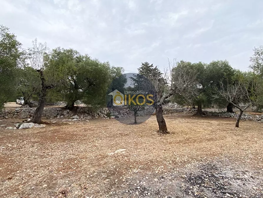 Immagine 2 di Terreno residenziale in vendita  in Contrada Bellocchio a Monopoli