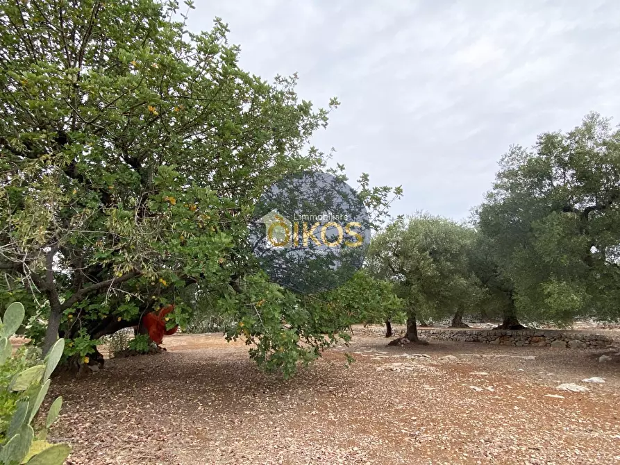 Immagine 3 di Terreno residenziale in vendita  in Contrada Bellocchio a Monopoli