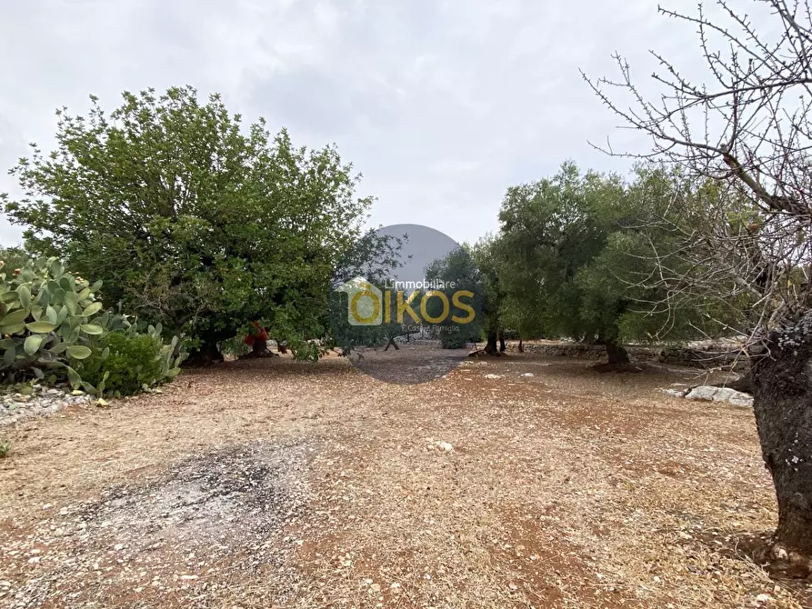 Immagine 4 di Terreno residenziale in vendita  in Contrada Bellocchio a Monopoli