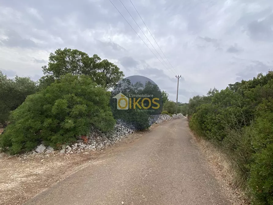 Immagine 6 di Terreno residenziale in vendita  in Contrada Bellocchio a Monopoli