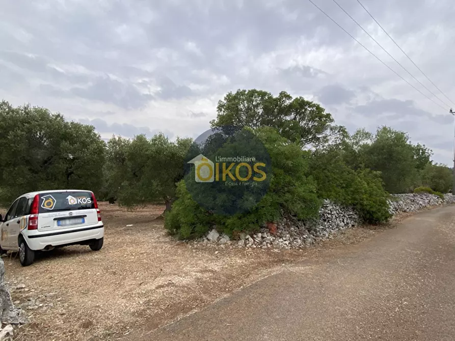Immagine 7 di Terreno residenziale in vendita  in Contrada Bellocchio a Monopoli