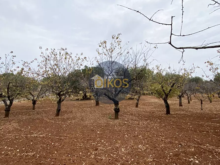 Immagine 9 di Terreno residenziale in vendita  in Contrada Bellocchio a Monopoli