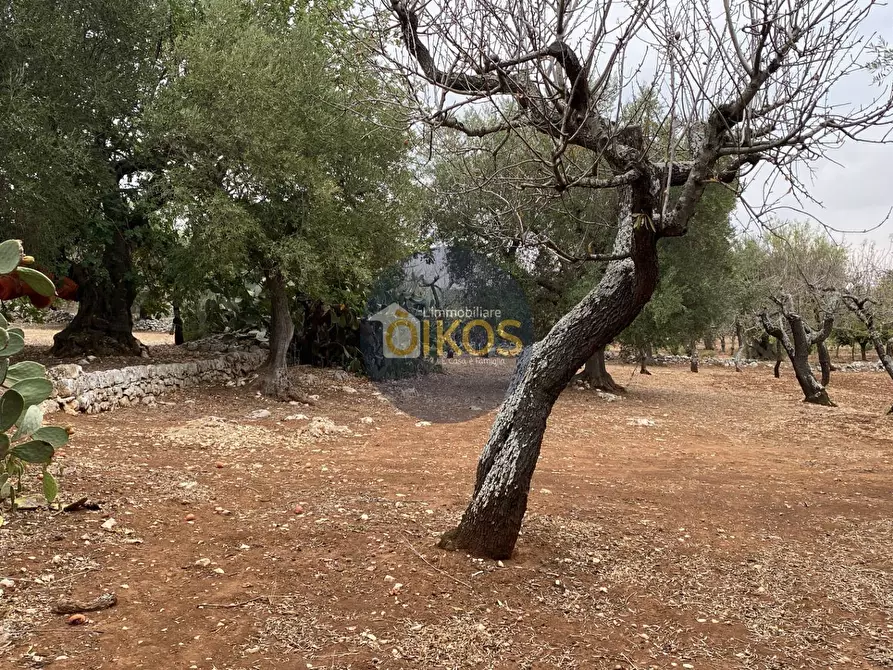 Immagine 13 di Terreno residenziale in vendita  in Contrada Bellocchio a Monopoli